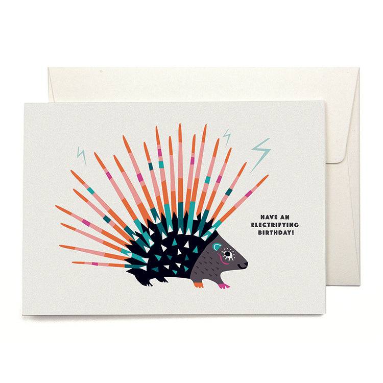Pleased To Meet VIVA Porcupine Grusskarte
