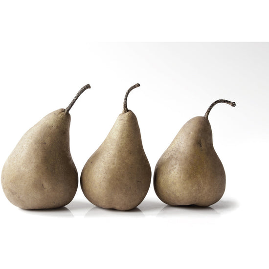 Queen Kerosin Magnetisches Markerboard - Pear Cyber Monday