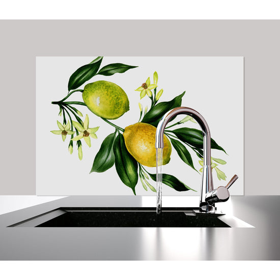 Queen Kerosin Spritzschutz - Lemontree Neueste Stile