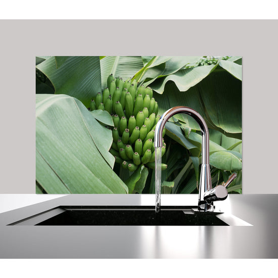 Queen Kerosin Spritzschutz - Banana Tree Fabrikladen