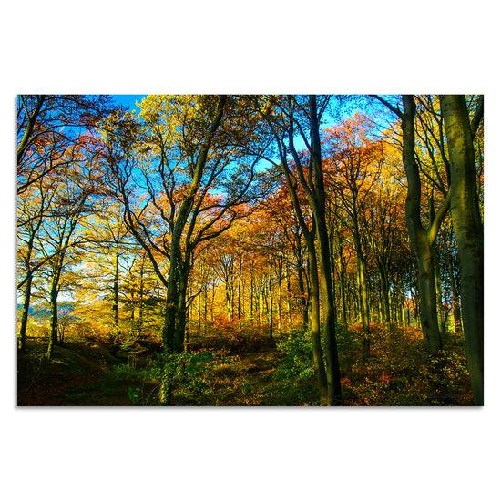 Queen Kerosin Herbstwald von Torsten Reuter Große Rabatte