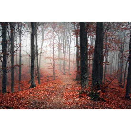 Queen Kerosin Acrylglasbild - Beautiful Autumn JETZT KAUFEN