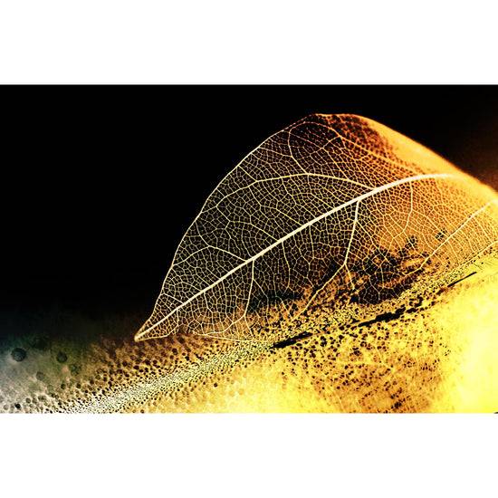 Queen Kerosin Blattgold Bild - Gold Leaf Discount Store für neue Produkte