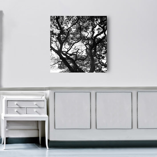 Queen Kerosin Acrylglasbild - Up Fabrikladen