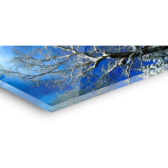 Queen Kerosin Acrylglasbild - Tawny Angebote