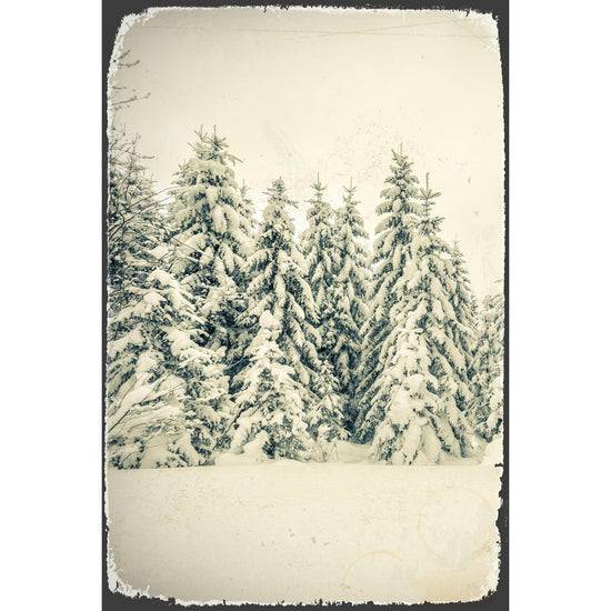 Queen Kerosin Blechschild - Snow Forest Fabrikladen