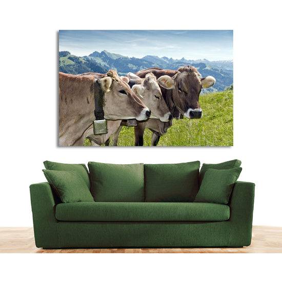 Queen Kerosin Acrylglasbild - Alpenwelt Kühe Verkauf
