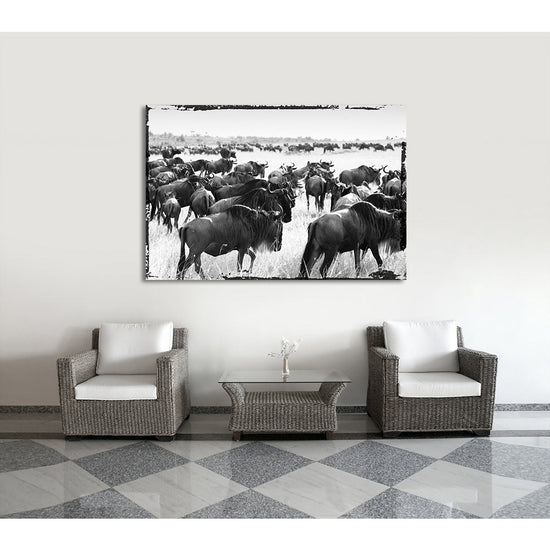 Queen Kerosin Acrylglasbild - Bisons Migrate Blitzverkäufe