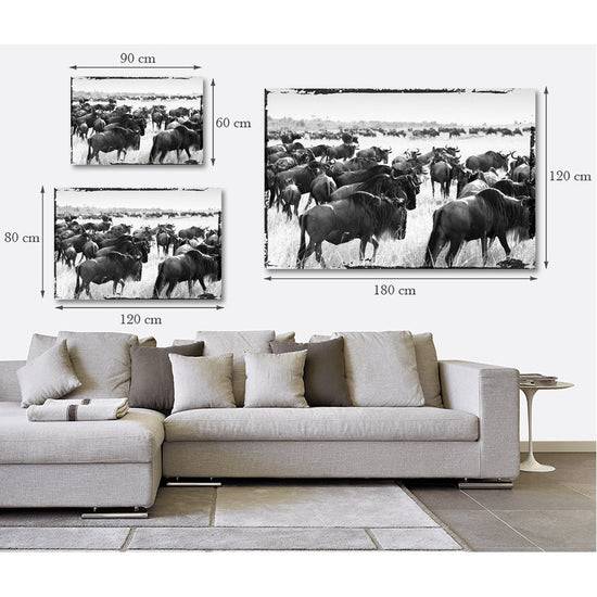 Queen Kerosin Acrylglasbild - Bisons Migrate Blitzverkäufe