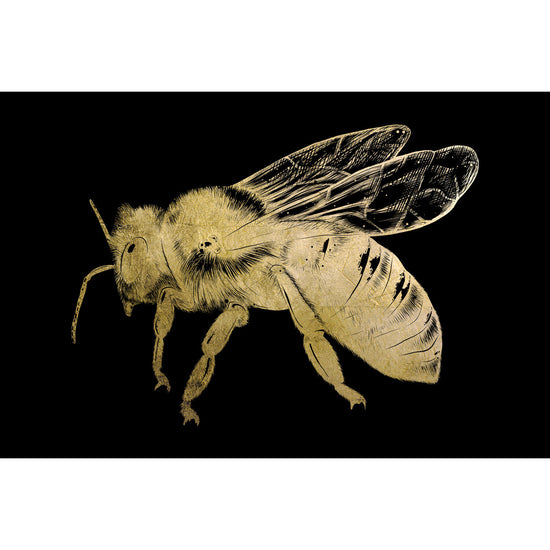 Queen Kerosin Blattgold Bild - Lyan Vatertagsangebot