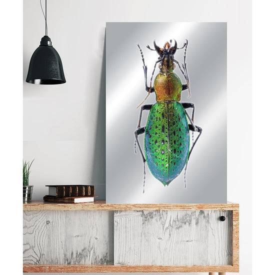 Queen Kerosin Aluminiumbild - Green Metal Zeitbegrenzte Promotion