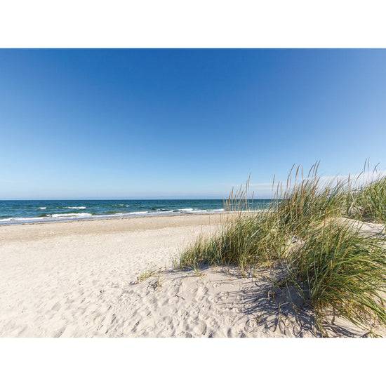 Queen Kerosin Magnetisches Markerboard - Beach Kostenloser Versand international