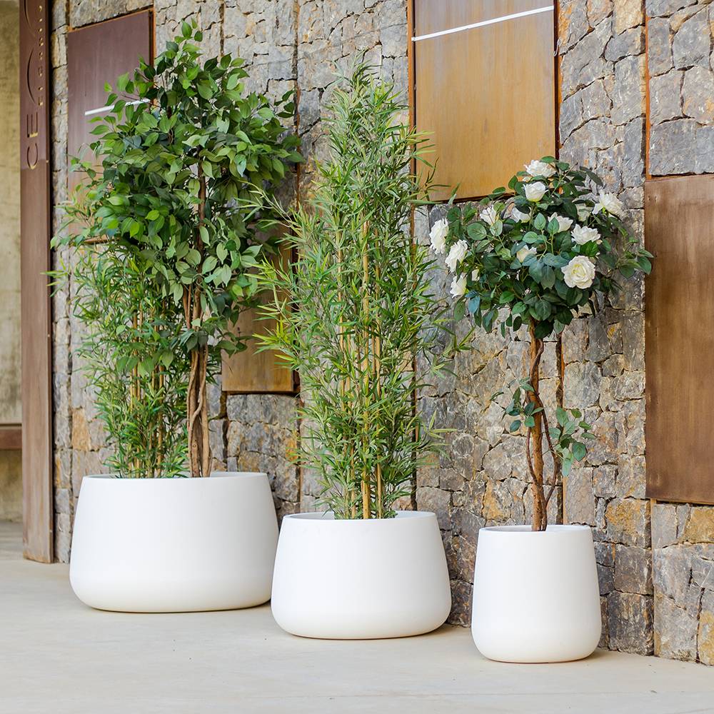 S.Luce LED Solar-Dekotopf Camelia Farbwechsel im Angebot