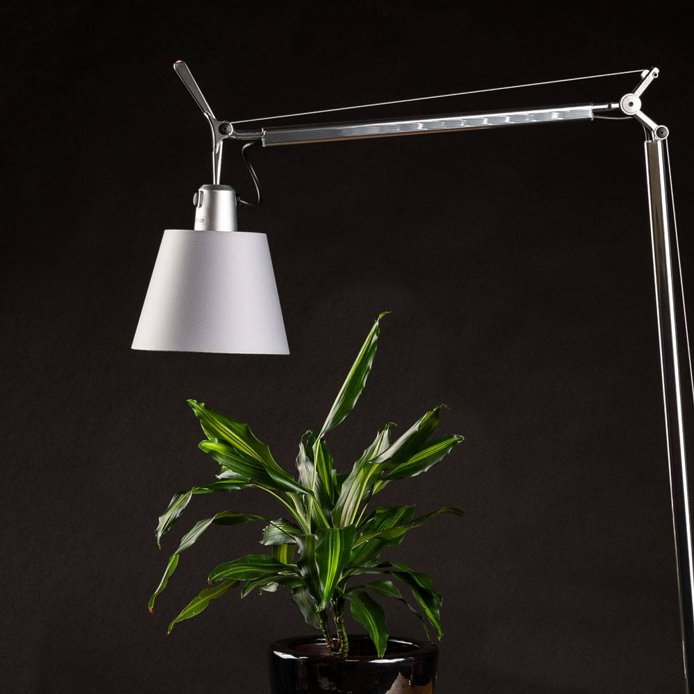 S.Luce Artemide Tolomeo Lettura Basculante Stehleuchte Angebote