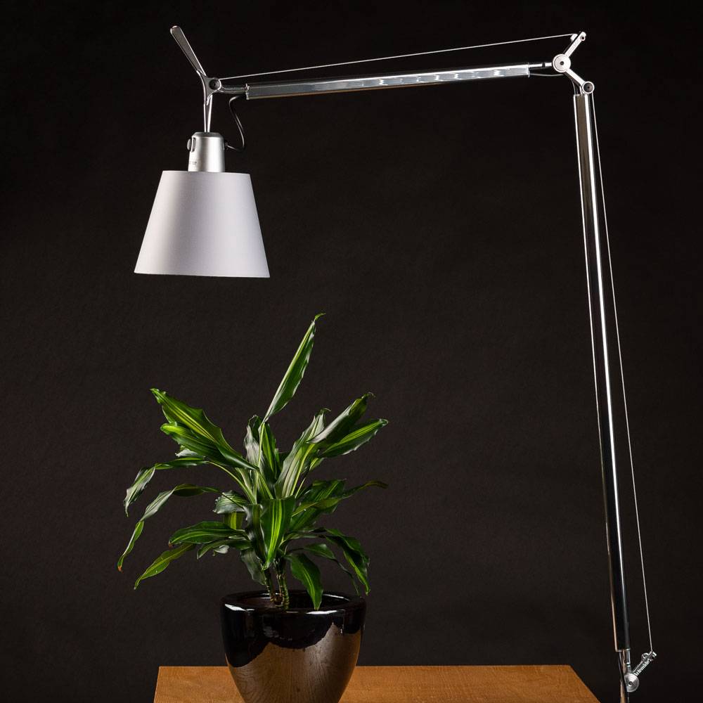 S.Luce Artemide Tolomeo Basculante Body Körper Ø 18cm Satin Zeitbegrenzte Promotion