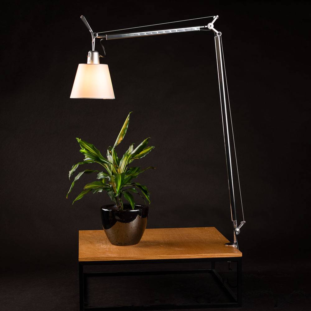 S.Luce Artemide Tolomeo Basculante Tischlampe Ø 18cm Pergament Günstig kaufen