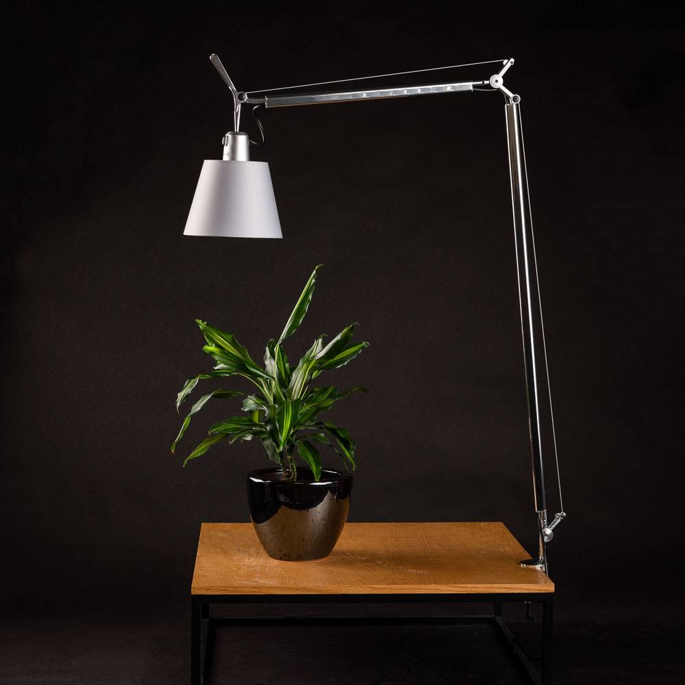 S.Luce Artemide Tolomeo Basculante Tischlampe Ø 18cm Pergament Günstig kaufen